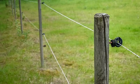 கேரளா பந்தளத்தில் மின்வேலியில் சிக்கி 2 பேர் பலி