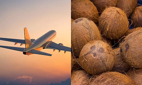விமானங்களில் தேங்காய்க்கு அனுமதி இல்லை.. ஏன் தெரியுமா?