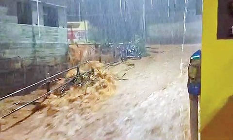 கனமழை-  வெள்ளத்தில் இழுத்து செல்லப்பட்ட வாலிபர் மாயம்