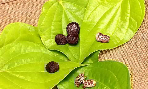 வெற்றிலையின் மகத்துவம் என்ன தெரியுமா மக்களே?