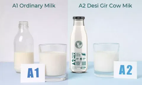 பால் மற்றும் பால் பொருட்களில் ஏ1, ஏ2 குறிப்பிடாதீங்க.. FSSAI அதிரடி உத்தரவு..!
