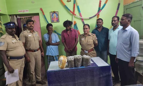 பாலக்கோடு அருகே 6 கிலோ கஞ்சாவை பதுக்கி விற்பனை செய்த 2 வாலிபர்கள் கைது