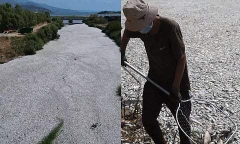 கிரீஸ் நாட்டில் மாதக் கணக்கில் அவசர நிலை.. கொத்துக் கொத்தாக செத்து மிதக்கும் மீன்கள் - வீடியோ