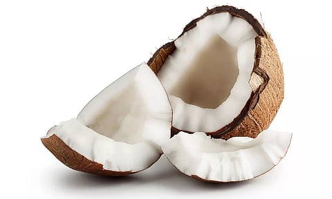 Coconut
