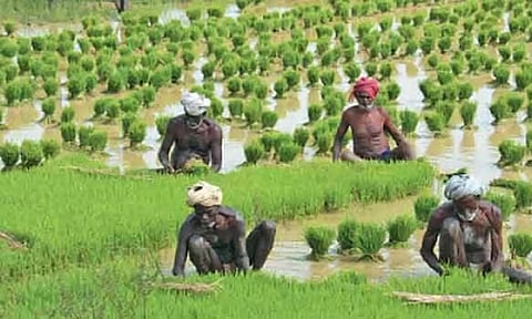நாடு முழுவதும் ஆதார் போன்று விவசாயிகளுக்கு அடையாள அட்டை- மத்திய அரசு புதிய திட்டம்