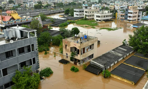 வெள்ளம் பாதித்த பகுதிகளில் 70 பேரை கடித்த பாம்புகள்