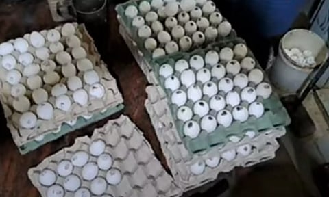 கள்ள சந்தையில் விற்பனையாகும் அரசு சத்துணவு முட்டை