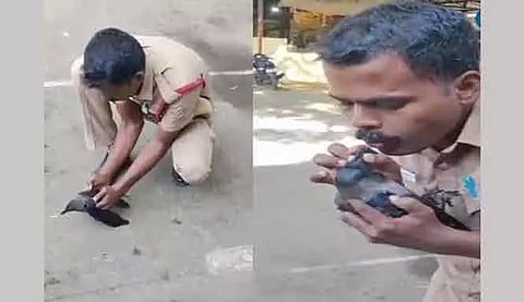 மின்சாரம் தாக்கி மயங்கிய காகத்திற்கு மறுஉயிர் கொடுத்த தீயணைப்பு வீரர்