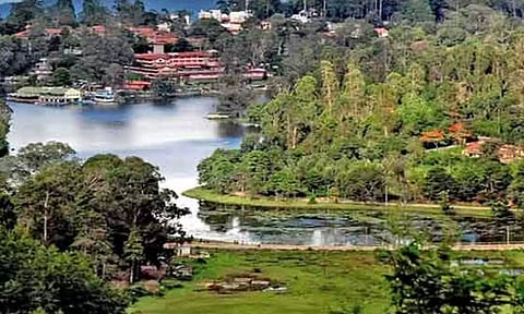 கொடைக்கானல் செல்லும் சுற்றுலா பயணிகள் மற்றும் பொதுமக்கள் கவனத்திற்கு...