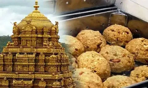 விலங்குகள் கொழுப்பு கலந்த நெய்:  திருப்பதியில் 3 நாட்கள் சிறப்பு யாகம், பரிகார பூஜை