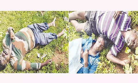 விவசாய நிலத்தில் காட்டு பன்றிகளுக்கு வைத்த மின்வேலியில் சிக்கி தந்தை, மகன் உள்பட 3 பேர் பலி