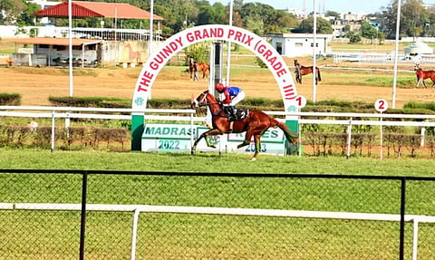 கிண்டி ரேஸ் கிளப் நிலத்தில் புதிய நீர்நிலை உருவாக்கலாம்- பசுமைத் தீர்ப்பாயம்