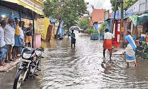 நெல்லை, தென்காசி, தூத்துக்குடியில் விடிய விடிய கனமழை: இரவு முழுவதும் மின்தடை