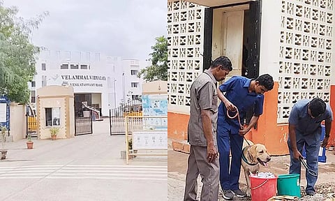 வெடிகுண்டு மிரட்டல் விடுக்கப்பட்ட பள்ளி - மோப்பநாய் உதவியுடன் போலீசார் வெடிகுண்டு சோதனை நடத்தியபோது எடுத்தபடம்.