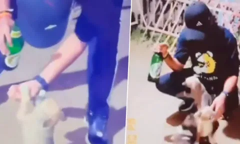 Man Feeds Beer to Dog Puppy for Instagram Reel