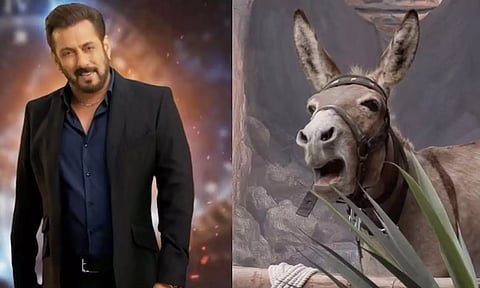 பிக்பாஸ் நிகழ்ச்சியில் கழுதை இடம்பெறுவதை தவிர்க்கவும்: சல்மான் கானுக்கு பீட்டா வலியுறுத்தல்