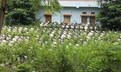 ஏழை மாணவிகளுக்காக வாங்கிய 1,500 ஸ்கூட்டர்கள்: வெயிலில் நின்று வீணாகும் அவலம்