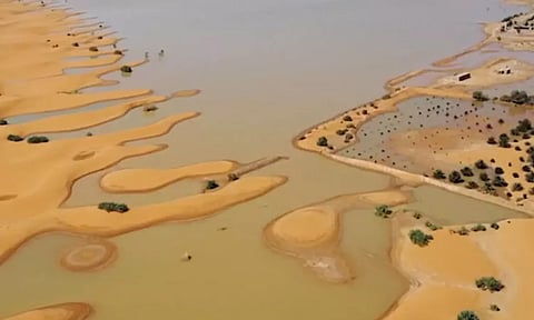 வெள்ளக்காடாக காட்சியளிக்கும் சஹாரா பாலைவனம்