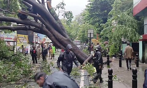 சென்னையில் விடிய விடிய சூறைகாற்றுடன் கனமழை: 3 இடங்களில் மரங்கள் முறிந்தன