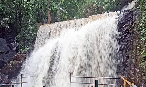 சுருளி அருவியில் வெள்ளப்பெருக்கால் சுற்றுலாப் பயணிகளுக்கு தடை