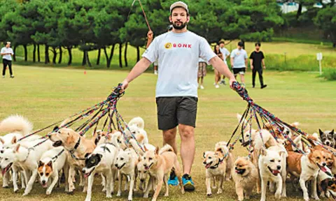 38 நாய்களுடன் நடைபயிற்சி கின்னஸ் சாதனை படைத்தது