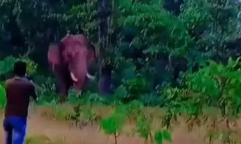 காட்டு யானையுடன் நேருக்குநேர் நின்று செல்பி: வாலிபரை மிதித்து கொன்ற சோகம்