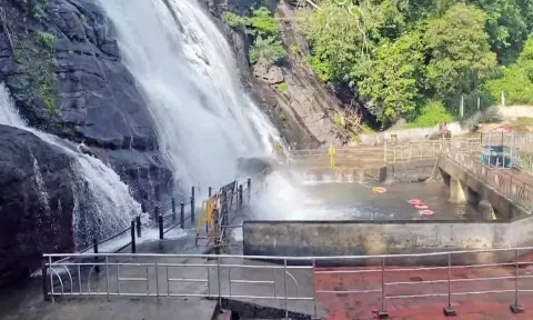 இரவில் பெய்த கனமழை: பழைய குற்றாலம் அருவியில் மட்டும் குளிக்க அனுமதி