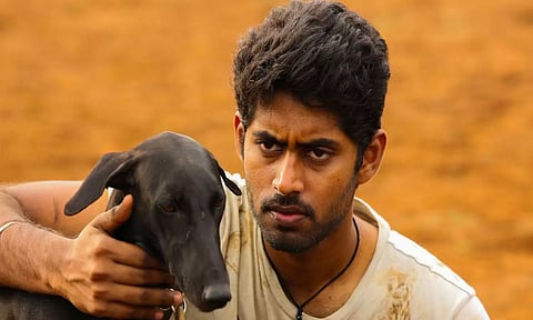 பரியேறும் பெருமாள் படத்தில் நடித்த "கருப்பி" உயிரிழப்பு