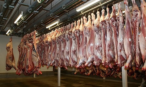 28 மெட்ரிக் டன் மாட்டிறைச்சி ஏற்றுமதியை தடுத்து நிறுத்திய சுங்கத்துறை- சென்னையில் பரபரப்பு