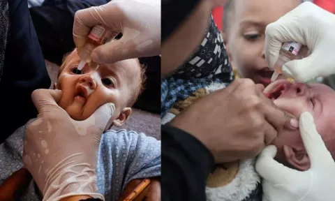 காசா: போலியோ முகாமில் இஸ்ரேல் தாக்குதல்.. குழந்தைகள் உட்பட 6 பேர் படுகாயம்  -  WHO கண்டனம்