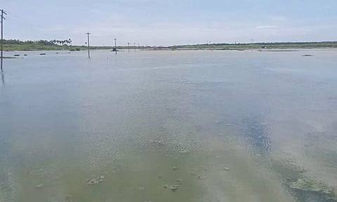 குமரியில் குளமாக மாறிய உப்பளங்கள்- உப்பு உற்பத்தி கடும் பாதிப்பு