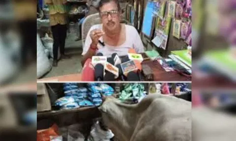மளிகைக் கடையில் முதல் ஆளாக போனி செய்யும் மாடுகள்