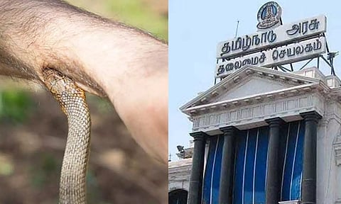 பாம்பு கடியை அறிவிக்கக்கூடிய (Notifiable Disease) நோயாக அறிவித்த தமிழக அரசு!