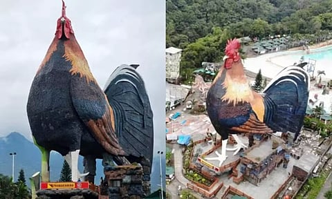 உலகின் மிகப்பெரிய கோழி வடிவ ஓட்டல் - கின்னஸ் சாதனை படைத்த பிலிப்பைன்ஸ் ரிசார்ட்