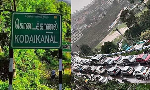 கொடைக்கானலில் 12 மீட்டருக்கு மேல் நீளமுள்ள சுற்றுலா வாகனங்களுக்கு தடை