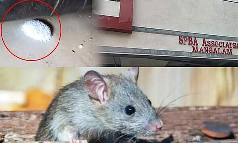 எலி மருந்தால் நேர்ந்த விபரீதம் - மூச்சுத் திணறி 2 குழந்தைகள் உயிரிழப்பு