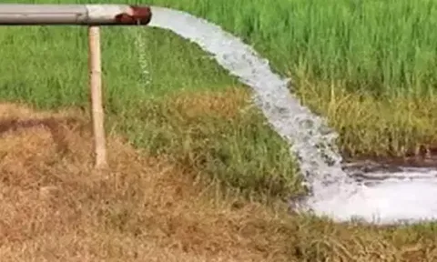 தனியார் பால் நிறுவனத்தின் ரசாயன கழிவுகளால் நிலத்தடி நீர்மட்டம் பாதிப்பு- கிராம மக்கள் புகார்