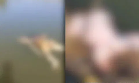 8 மாத குழந்தை.. தலையில்லாத சிறுவன் - அழுகிய நிலையில்  பாட்டி - மணிப்பூரின் உடல்கள்