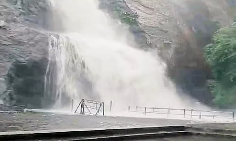 தொடர் மழையால் குற்றாலம் அருவிகளில் வெள்ளப்பெருக்கு