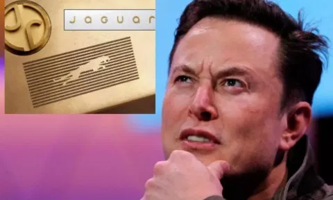 லோகோ மாற்றிய 'ஜாகுவார்..' கடுப்பில் வார்த்தையை விட்ட எலான் மஸ்க் - நடந்தது இதுதான்