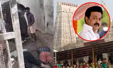 திருச்செந்தூரில் கோவில் யானை மிதித்து இருவர் உயிரிழப்பு - ரூ.2 லட்சம் நிதியுதவி அறிவித்த முதல்வர்