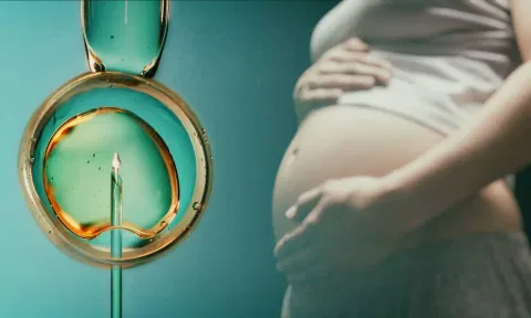 IVF பண்ணப்போறீங்களா? இத தெரிஞ்சுக்கிட்டு போங்க... IVF-IUI வித்தியாசம் என்ன?
