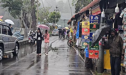 இடைவிடாத மழை: கொடைக்கானலில் மரங்கள், மின்கம்பங்கள் விழுந்து சேதம்