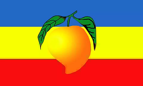 ராமதாஸ் குறித்த முதலமைச்சரின் கருத்து: சென்னையில் போராட்டத்தில்  ஈடுபட்ட பா.ம.க.-வினர் கைது