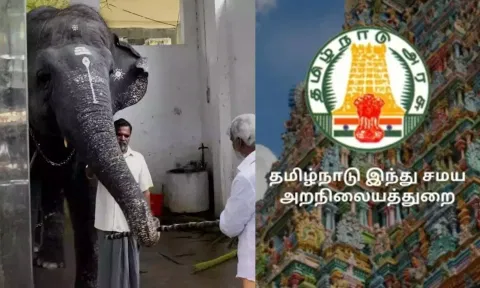 யானைகள் பராமரிப்பு- கோவில் நிர்வாகங்களுக்கு அறநிலையத்துறை உத்தரவு