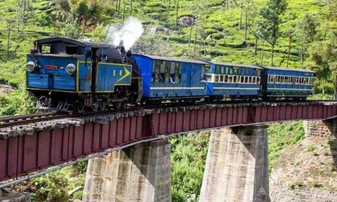 மேட்டுப்பாளையம்-ஊட்டி இடையே சிறப்பு மலை ரெயில்: டிசம்பர் 25 முதல் 2-ந்தேதி வரை பயணிக்கலாம்