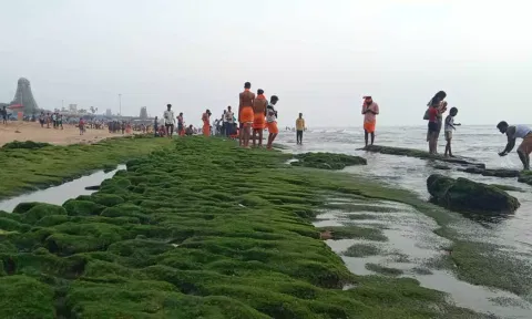 திருச்செந்தூர் கடல் 80 அடி உள்வாங்கியது