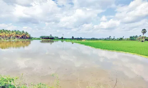 கொல்லிமலையில் கனமழை: வாத்தலை அய்யன் வாய்க்காலில் வெள்ளம்
