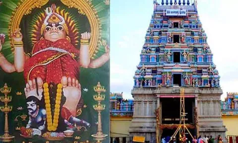 ஆனைமலை மாசாணியம்மன் கோவில் கும்பாபிஷேகம்: சிறப்பு பஸ்கள் இயக்கம்