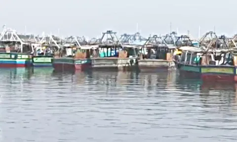 ராமேசுவரத்தில் மீனவர்கள் வேலைநிறுத்தம்- 500 படகுகள் துறைமுகத்தில் நிறுத்தி வைப்பு
